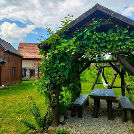 Holiday home Organicle Sincraieni