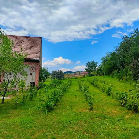 Organicle * Sincraieni
