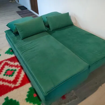 Organicle Holiday home Sincraieni