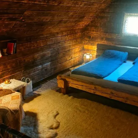 Organicle Holiday home Sincraieni