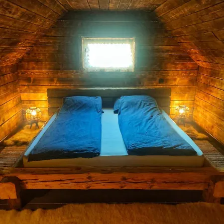 Organicle Holiday home Sincraieni