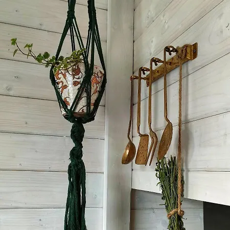 Holiday home Organicle Sincraieni