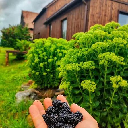 Holiday home Organicle