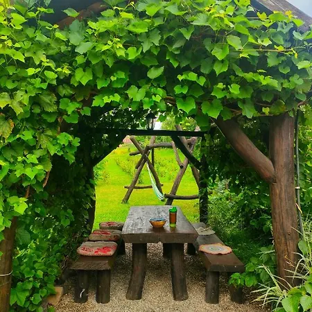 Holiday home Organicle